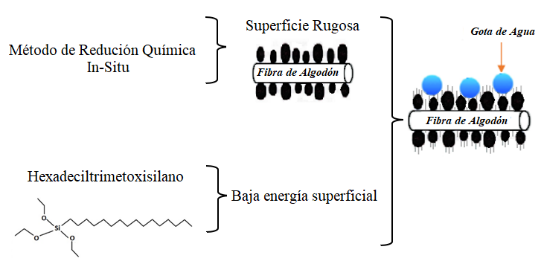 Diagrama

Descripcin generada automticamente