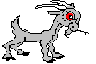 First Goat